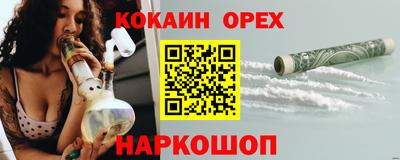 apvp Гатчина