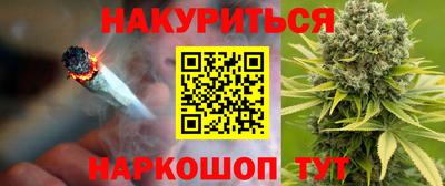 apvp Гатчина