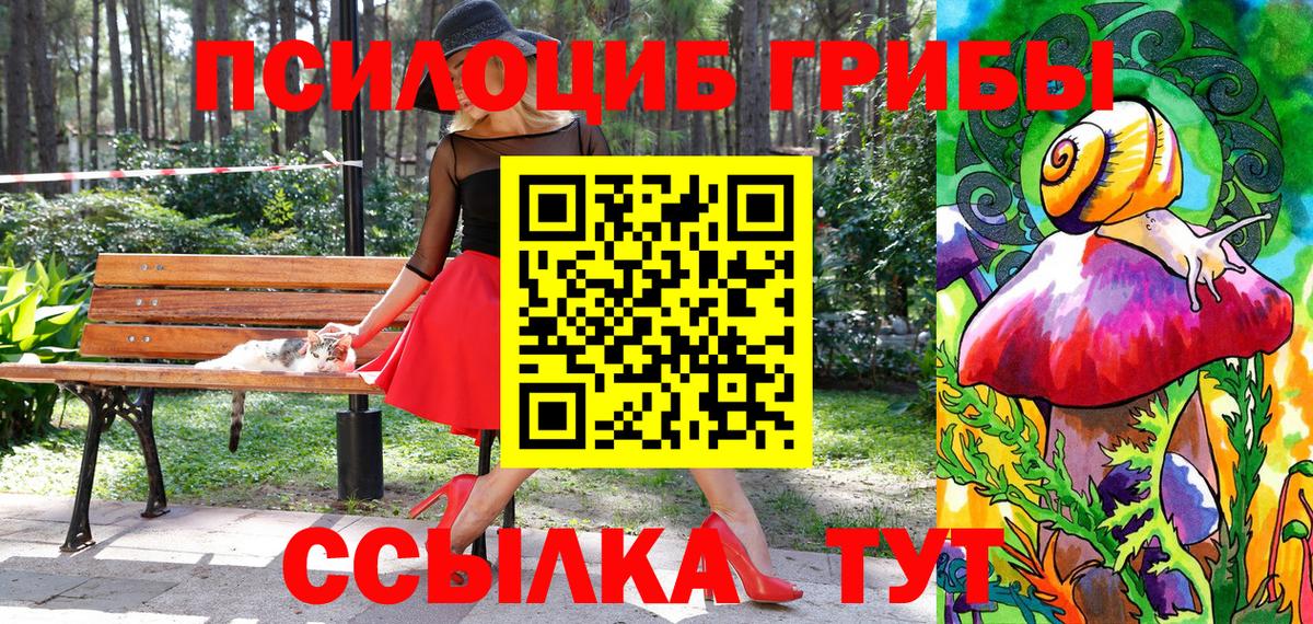 Псилоцибиновые грибы Cubensis Нягань